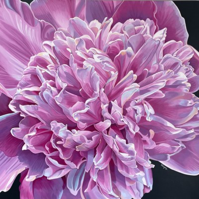 My Pink Peony by Vanya Ryan 48x48 Acrylic on Gallery Stretched Canvas