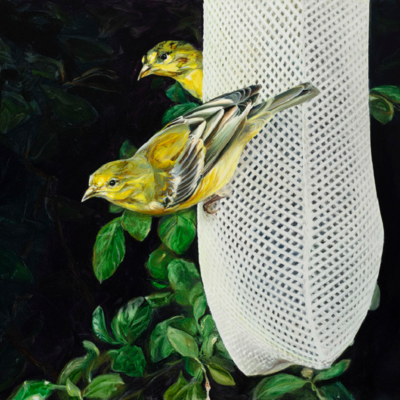 Oil painting - goldfinches