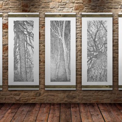 Forest for the Trees (series)