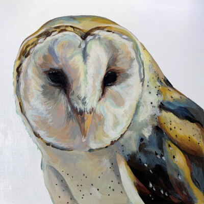 Acrylic painting of a Barn Owl by Andrea Howson