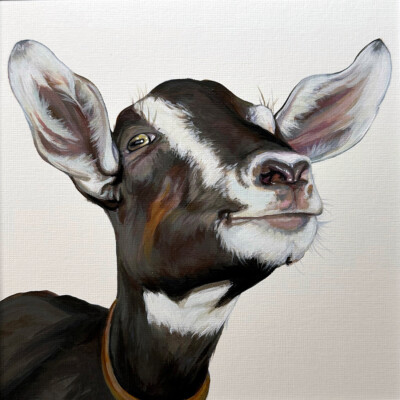 Acrylic painting of a brown and white goat by Andrea Howson