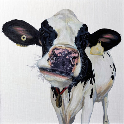 Acrylic painting of a black and white Holstein cow by Andrea Howson