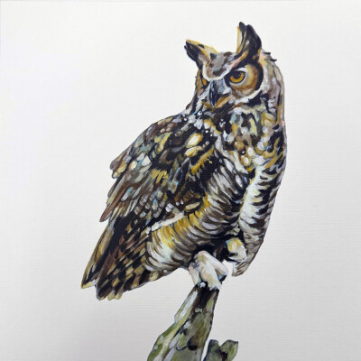 Acrylic painting of a Great Horned Owl perched on a piece of wood by Andrea Howson
