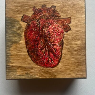 Anatomical Heart Mixed media Trinket Box
