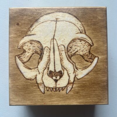 Cat Skull Wood Burned Trinket Box